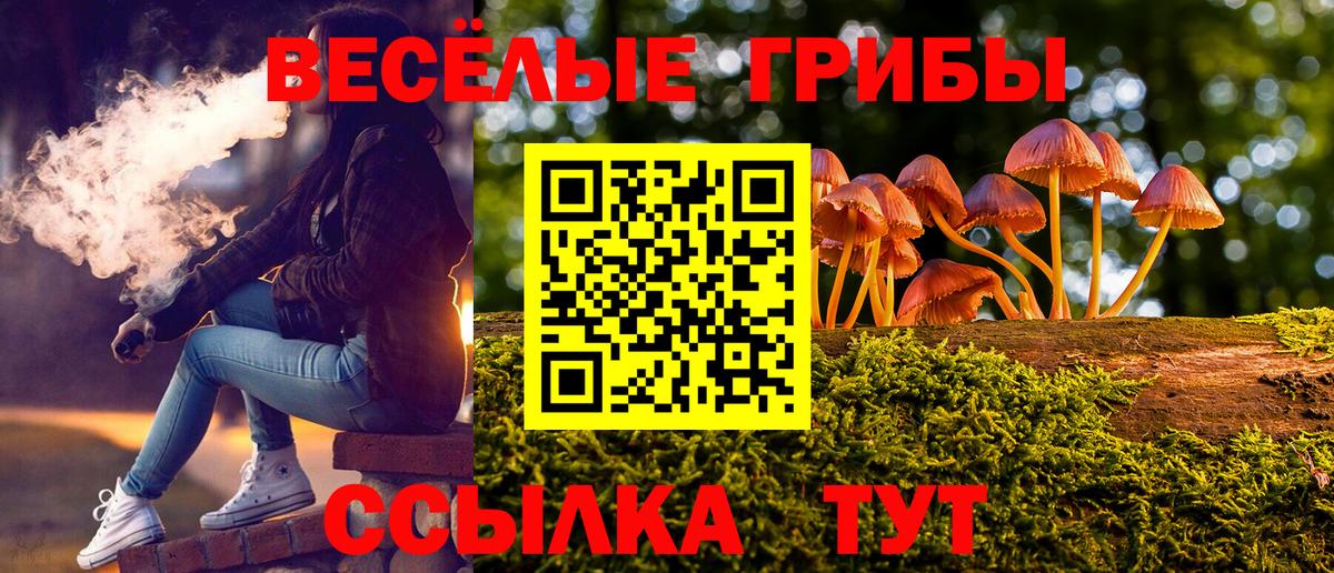 Галлюциногенные грибы мицелий Шелехов