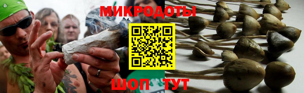 хочу   Вход с VPN  Шелехов  Псилоцибиновые грибы GOLDEN TEACHER  Галлюциногенные грибы MAGIC MUSHROOMS 